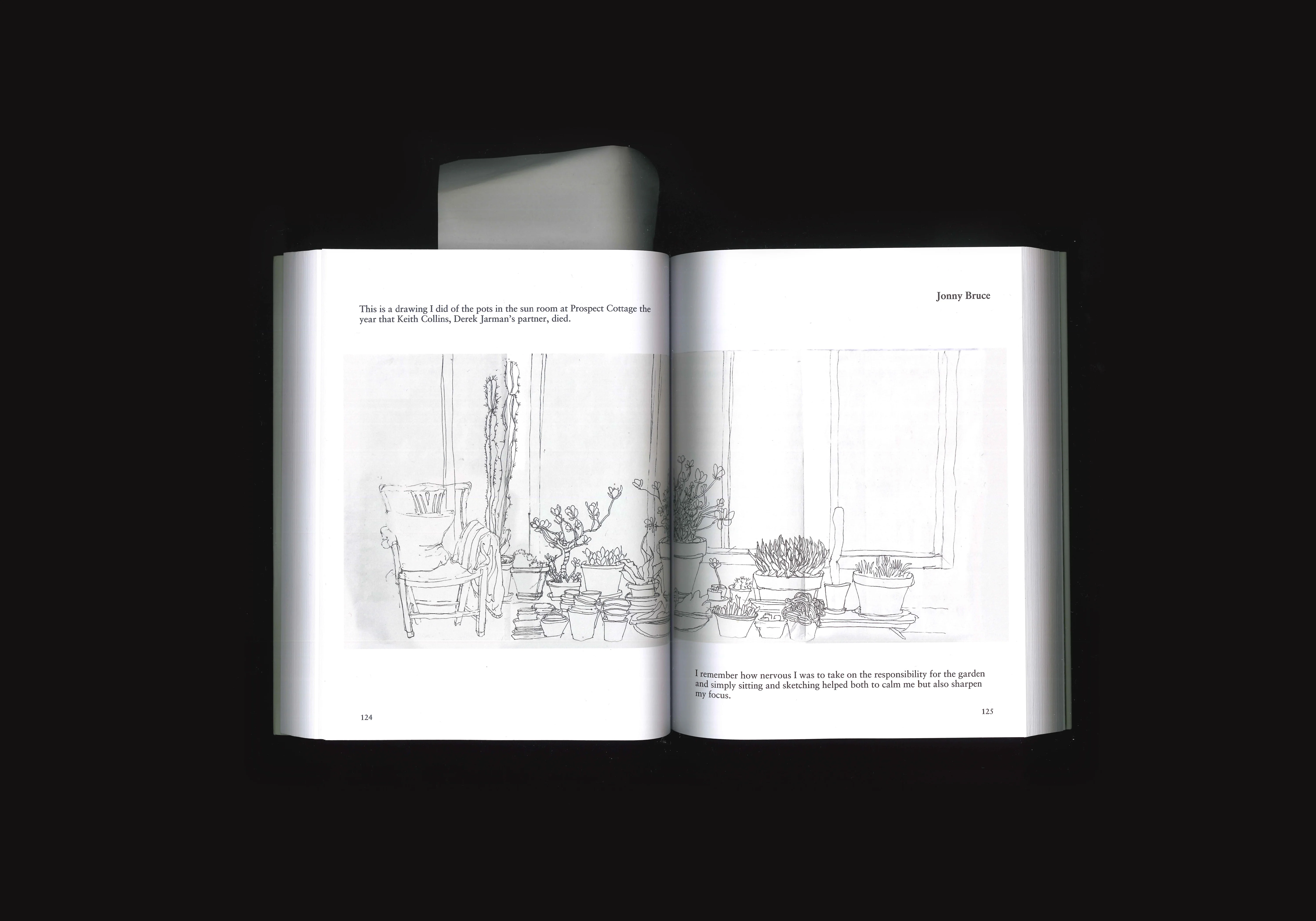 A Garden Manifesto, image 3